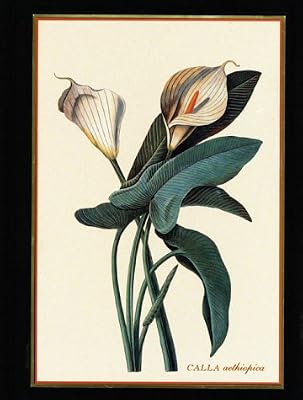 Calla Lily: Botanical/Blank Book
