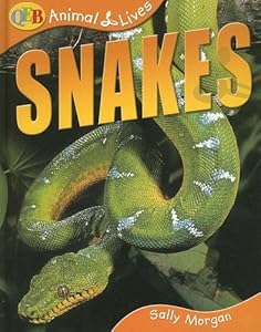 Snakes (Animal Lives)