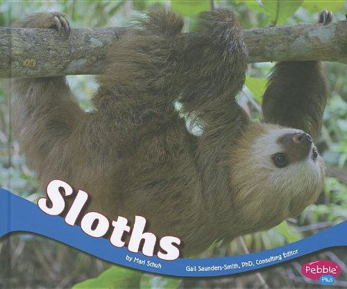 Sloths by Mari Schuh