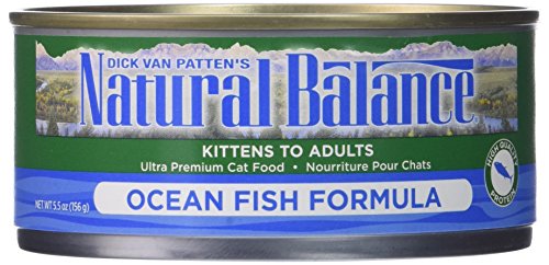 Dick Van Patten's Natural Balance Ocean Fish Canned Cat Food (Case of 24), 5.5 oz.