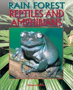 Reptiles and Amphibians (Rain Forest (Rain Tree))