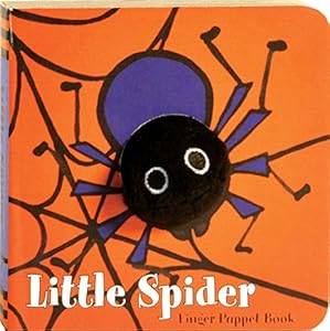 Little Spider by Klaartje van der Put