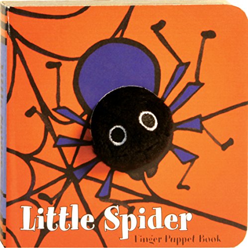 Little Spider by Klaartje van der Put