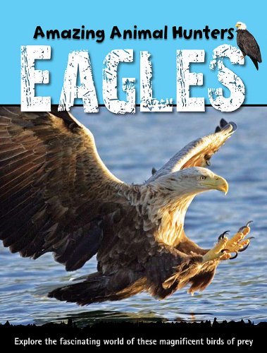 Eagles by Sally Morgan