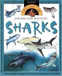 Question Time: Sharks (Question Time)