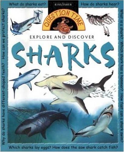 Question Time: Sharks (Question Time) by Stephen Savage