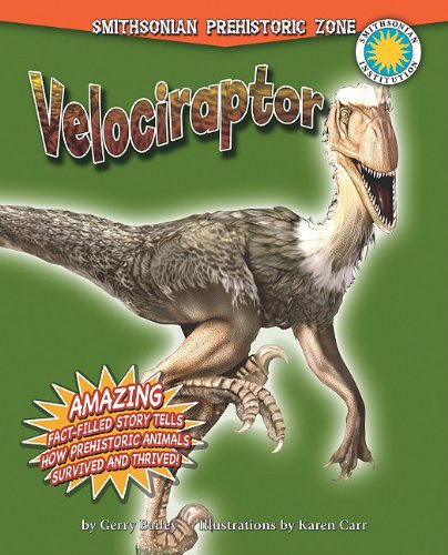 Velociraptor by Gerry Bailey