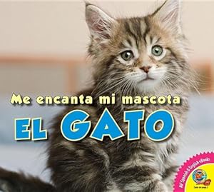 El gato