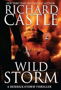 Wild Storm: A Derrick Storm Thriller