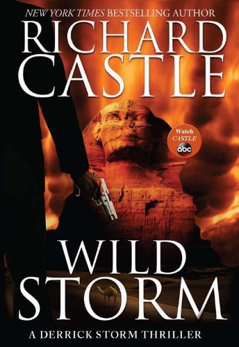 Wild Storm: A Derrick Storm Thriller by Richard Castle