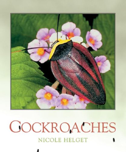 Cochroaches by Nicole Helget