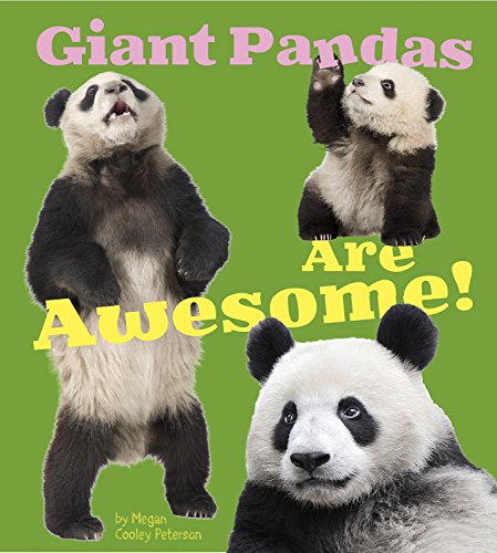 Giant Pandas Are Awesome! by Megan C Peterson