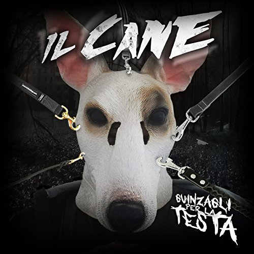 Algopix Similar Product 4 - 