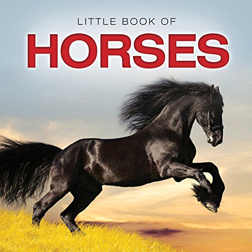 Horses by Chris Mason