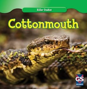Cottonmouth