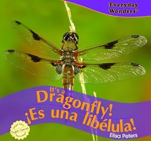 It's a Dragonfly!/Es Una Libelula! (Everyday Wonders / Maravillas de Todos Los D-As) (Spanish Edition)