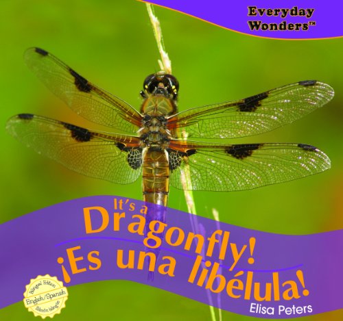 It's a Dragonfly!/Es Una Libelula! (Everyday Wonders / Maravillas de Todos Los D-As) (Spanish Edition) by Elisa Peters
