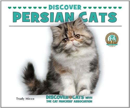 Discover Persian cats by Trudy Micco