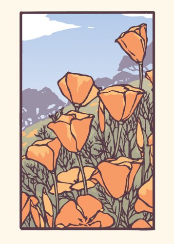 Poppies in Bloom: Unboxed Set of 6 Cards by Bruce Smith