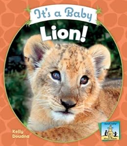 It's a Baby Lion! (Sandcastle: Baby African Animals)