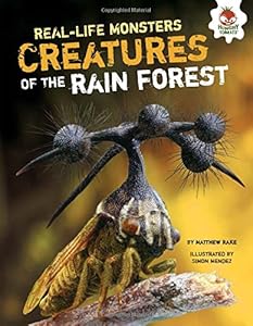 Creatures of the Rain Forest