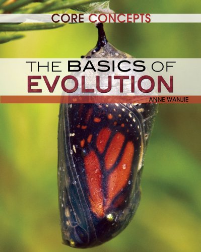 The Basics of Evolution by Anne Wanjie