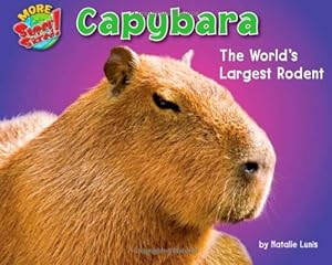Capybara: The World's Largest Rodent
