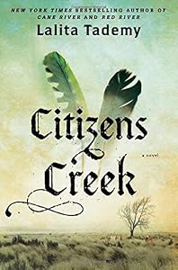 Citizens Creek: A Novel