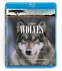 Nature: In the Valley of the Wolves/Christmas in Yellowstone [Blu-ray]