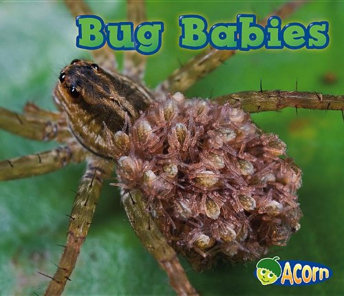 Bug Babies by Catherine Veitch