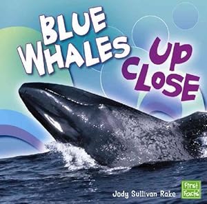 Blue Whales Up Close (Whales and Dolphins Up Close) by Jody Sullivan Rake
