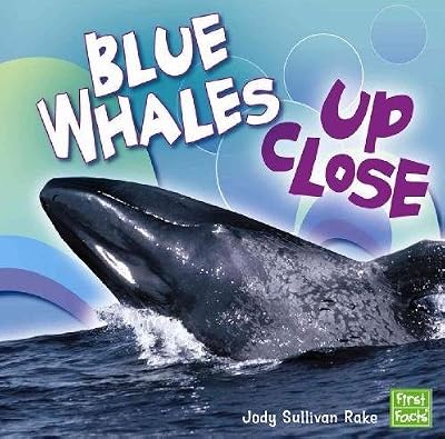 Blue Whales Up Close (Whales and Dolphins Up Close)