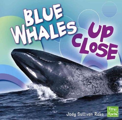 Blue Whales Up Close (Whales and Dolphins Up Close) by Jody Sullivan Rake