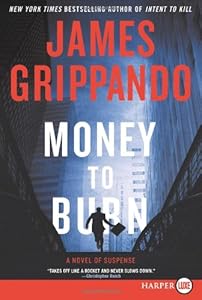 Money to Burn LP: A Novel of Suspense