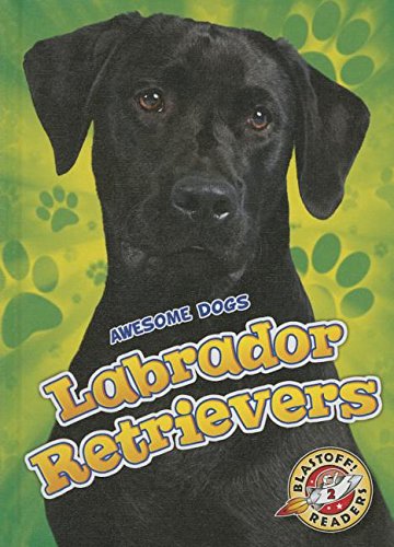 Labrador Retrievers by Chris Bowman