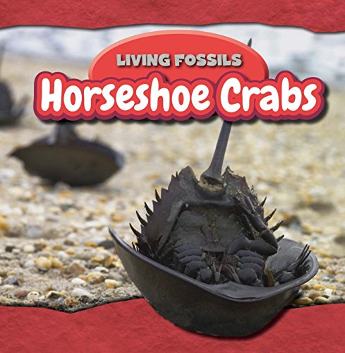 Horseshoe Crabs by Annie Wendt Hemstock