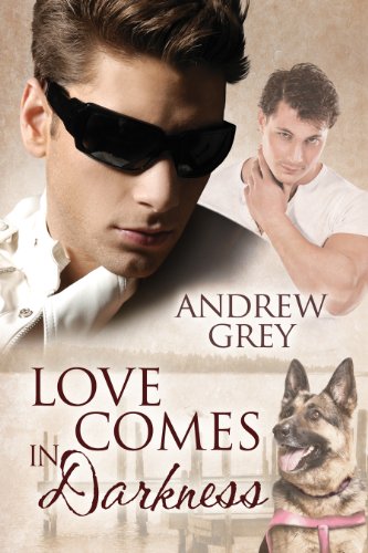 Love Comes in Darkness by Andrew Grey