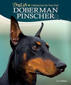 Doberman Pinscher