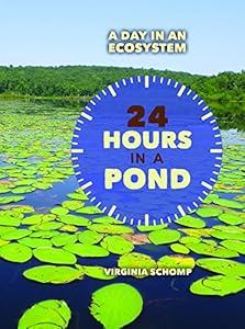 24 Hours in a Pond