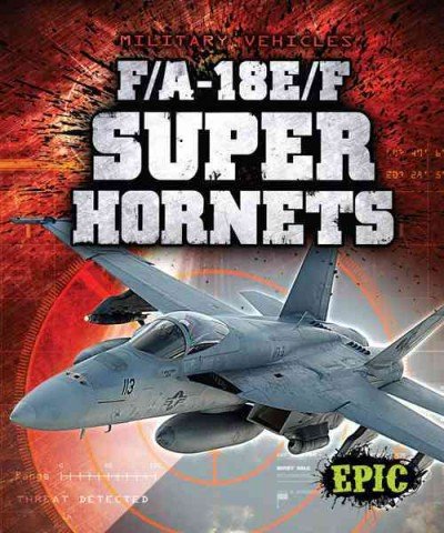 F/A-18E/F Super Hornets (Military Vehicles) by Denny Von Finn