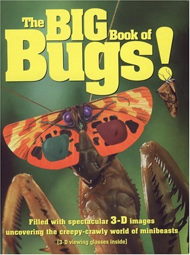 The Big Book Of Bugs by Robertson