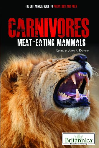 Carnivores: Meat-Eating Mammals by John P. Rafferty  (Editor)