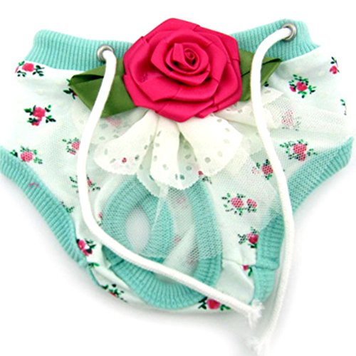 PanDaDa Puppy Pet Dog Flower Sanitary Panty Pant Lace Diaper Underwear Green X-Small