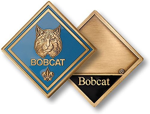 Bobcat