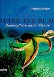 Reise ins Blau. Zaubergärten unter Wasser