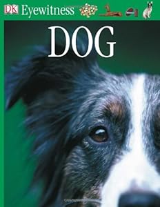 DK Eyewitness Books: Dog