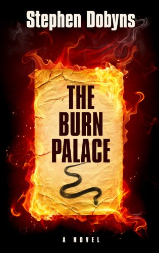 The Burn Palace by Stephen Dobyns