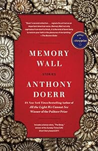 Memory Wall: Stories