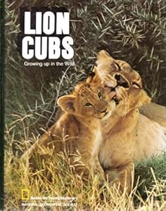 Lion Cubs Growing up in the Wild