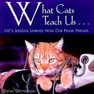 What Cats Teach Us: Life's Lessons Learned from Our Feline Friends